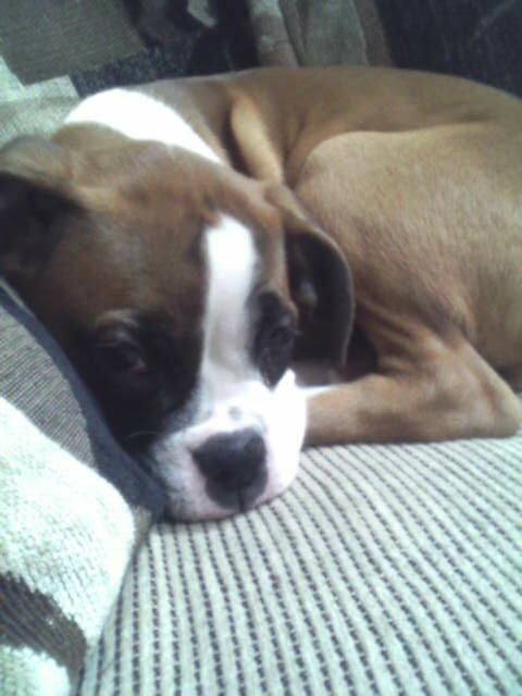sleep time