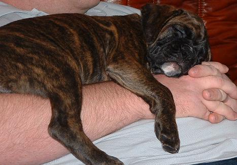 Sleep Time