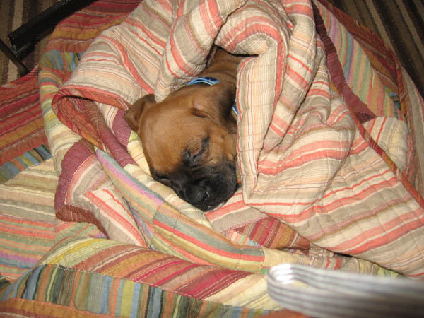 Sleep time!