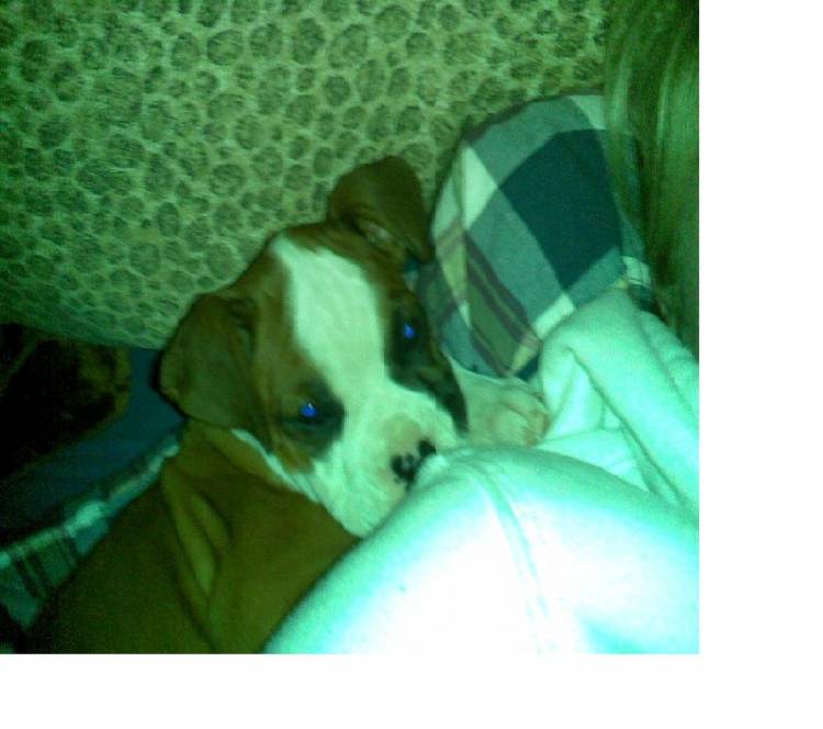 Sleep Time