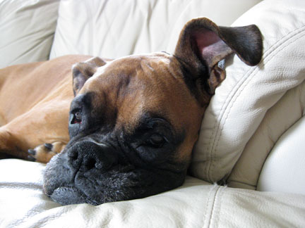 Sleep Time