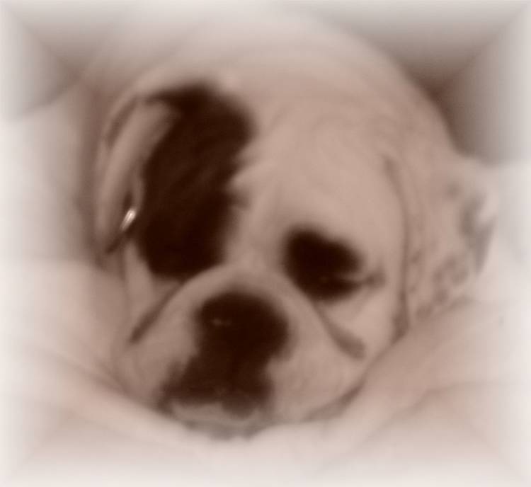 sleep