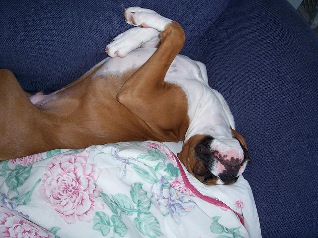 Sleep