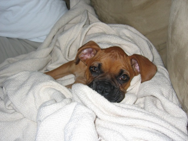 Sleep