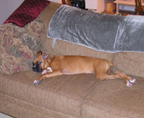 Sleep