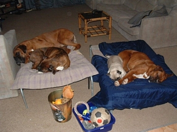 sleep