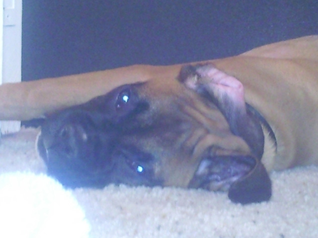 Sleep