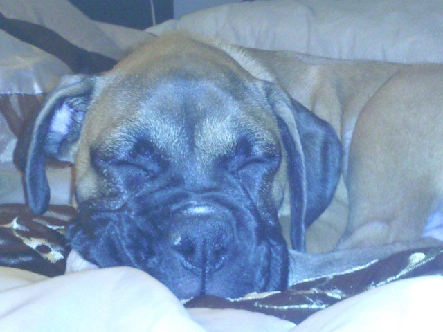 Sleep