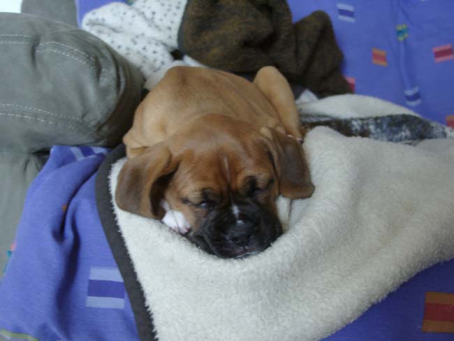 Sleep_time