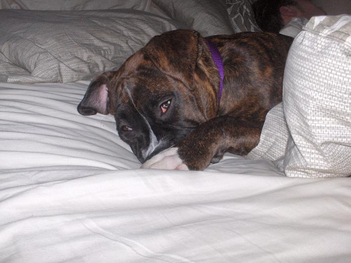 Sleepie Girl