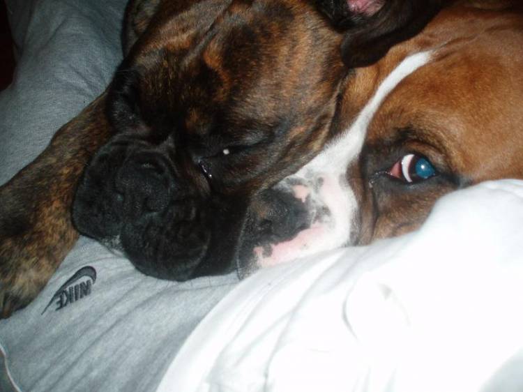 sleepie time