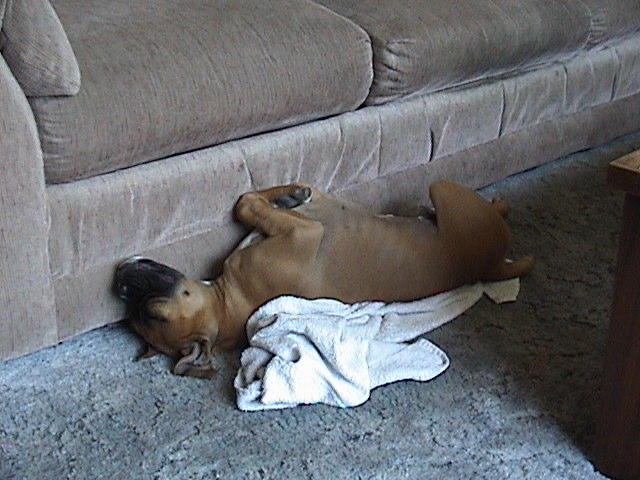 sleepin again...............weird