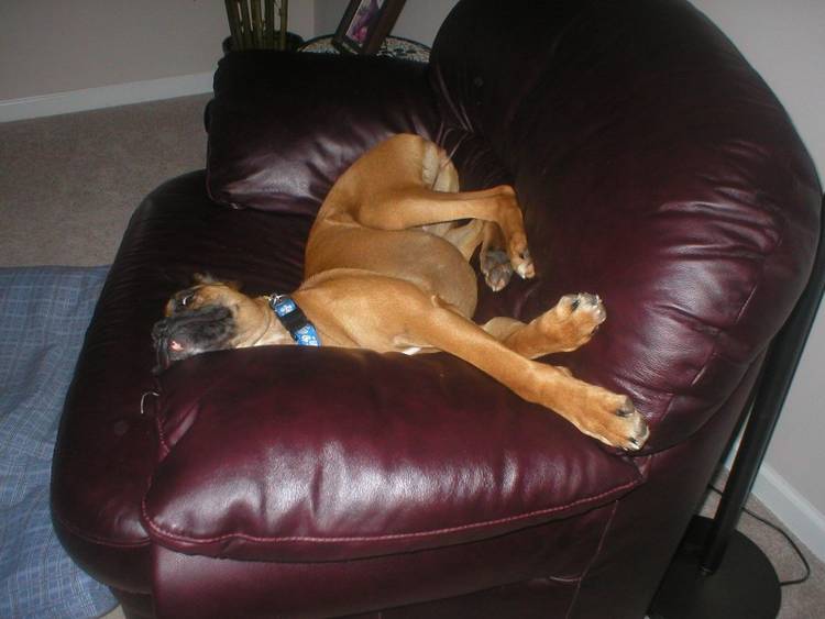 Sleepin Beauty