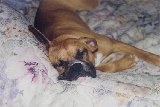 Sleepin' Good