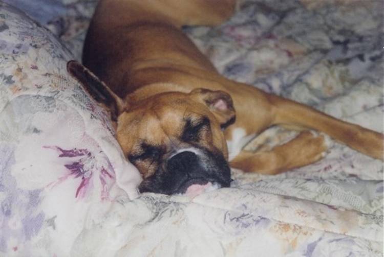 Sleepin' good