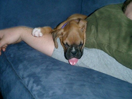 Sleepin with Dad