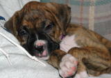 sleepin with daddy