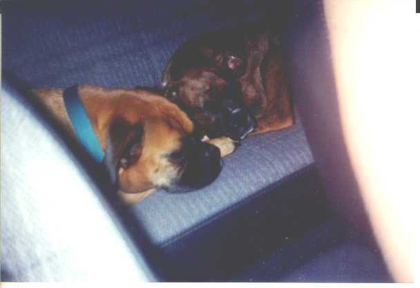 sleep'in
