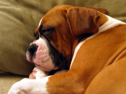 Sleepin