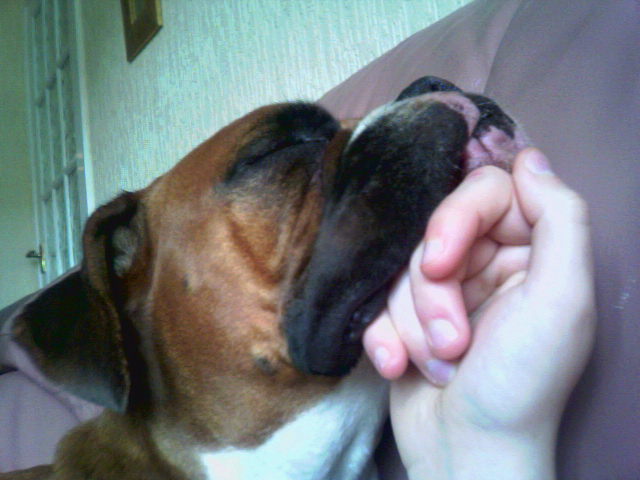 sleepin!