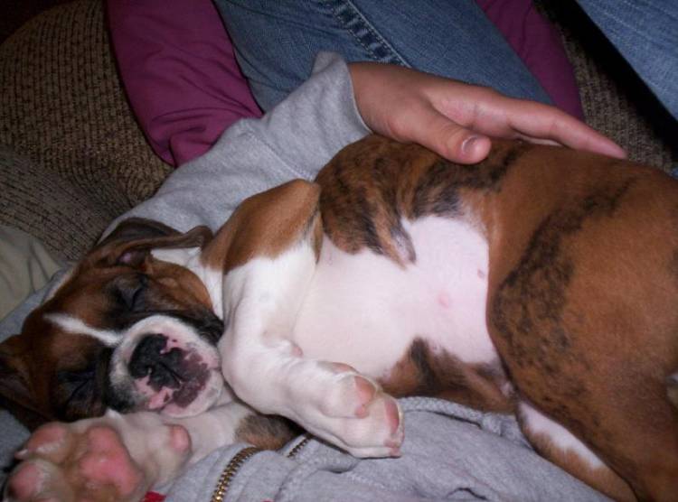 Sleepin