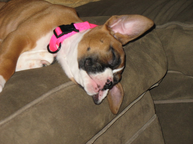 Sleepin...