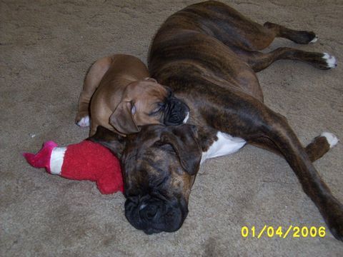 Sleepin_Babies