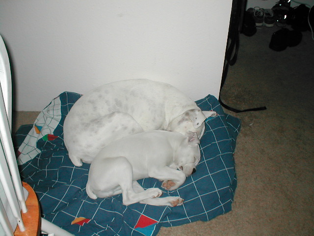 Sleeping (12wks)