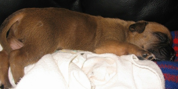 sleeping 3 wks