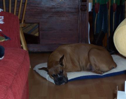 Sleeping Again!