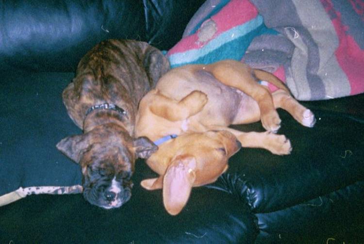 Sleeping Again