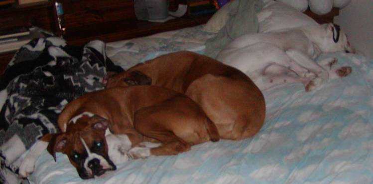 Sleeping agian
