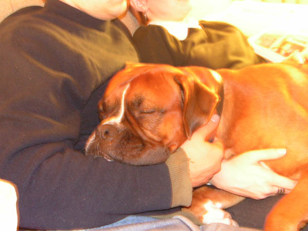 sleeping all over mommy and daddy