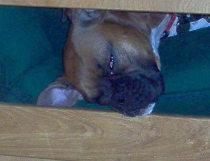 Sleeping Away