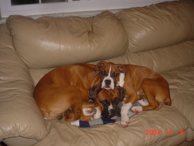 sleeping babies