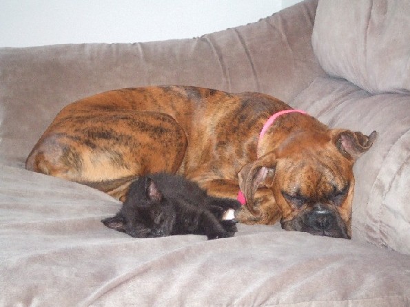 Sleeping Babies
