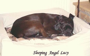 Sleeping Baby Lucy