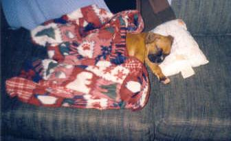 Sleeping baby Sidda