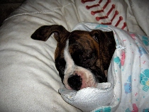 Sleeping baby