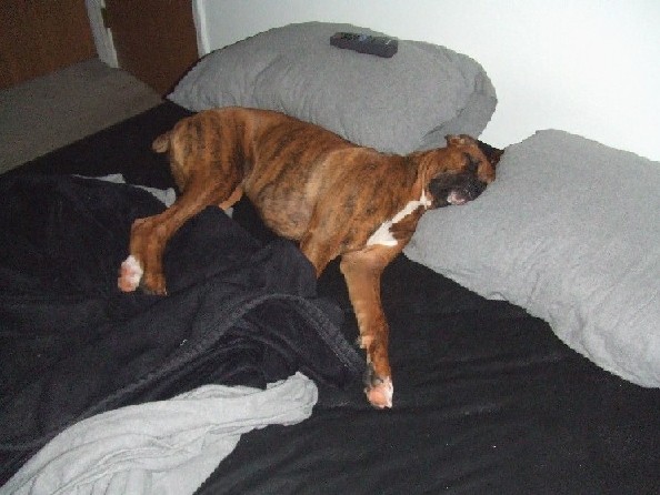 Sleeping Baby