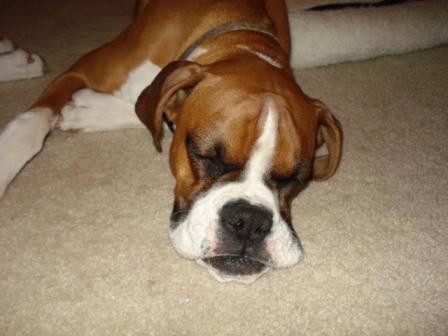 Sleeping Baby...