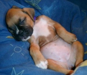 Sleeping baby!