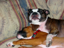 Sleeping beauties