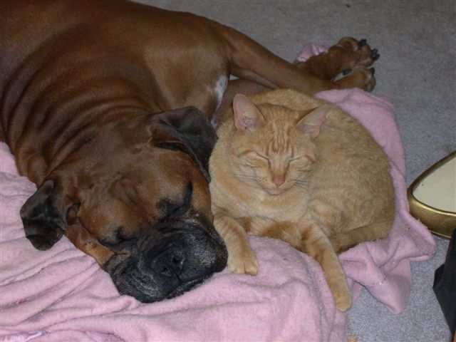 Sleeping Beauties