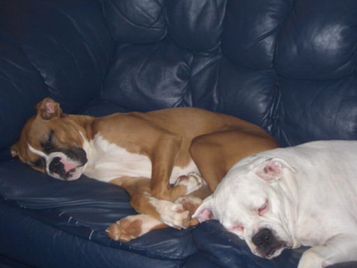 Sleeping Beauties