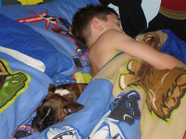 Sleeping Beauties