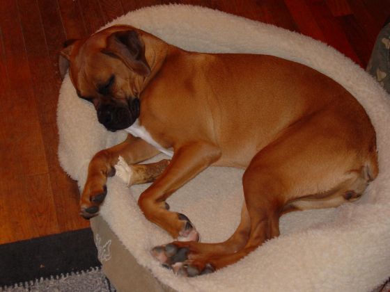 Sleeping Beauty
