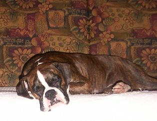 Sleeping beauty