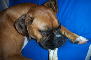 sleeping beauty
