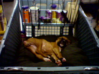 Sleeping Beauty!